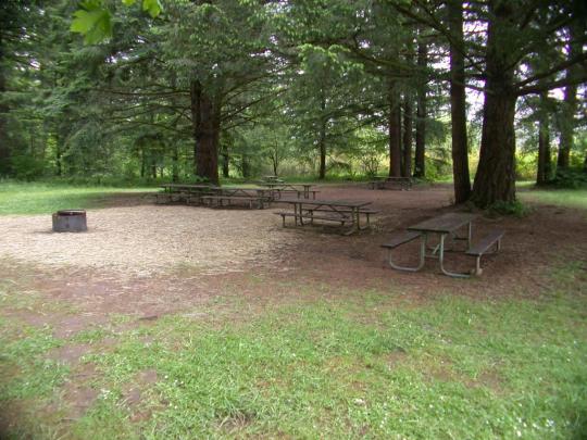 Kingfisher Group Camp