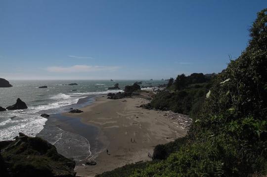 Campground Details - Harris Beach State Park, OR - ReserveAmerica